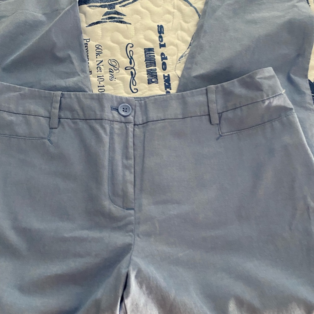 Talbots Light Blue Ankle Pants